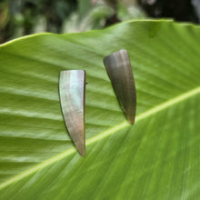 Load image into Gallery viewer, READY TO SHIP Mother of Pearl Stud Earrings - Stainless Steel FJD$
