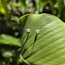 Load image into Gallery viewer, READY TO SHIP Mother of Pearl Stud Earrings - Stainless Steel FJD$
