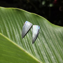 Load image into Gallery viewer, READY TO SHIP Mother of Pearl Stud Earrings - Stainless Steel FJD$
