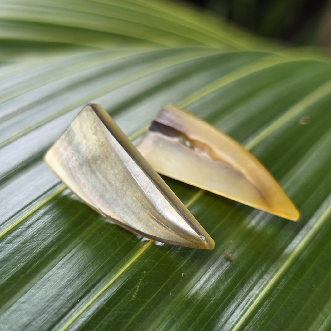 READY TO SHIP Mother of Pearl Stud Earrings - Stainless Steel FJD$