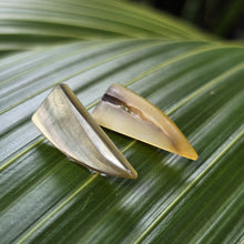 Load image into Gallery viewer, READY TO SHIP Mother of Pearl Stud Earrings - Stainless Steel FJD$
