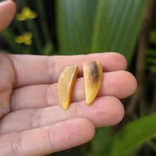 Load image into Gallery viewer, READY TO SHIP Mother of Pearl Stud Earrings - Stainless Steel FJD$
