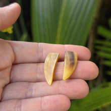 Load image into Gallery viewer, READY TO SHIP Mother of Pearl Stud Earrings - Stainless Steel FJD$
