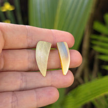 Load image into Gallery viewer, READY TO SHIP Mother of Pearl Stud Earrings - Stainless Steel FJD$
