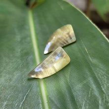 Load image into Gallery viewer, READY TO SHIP Mother of Pearl Stud Earrings - Stainless Steel FJD$
