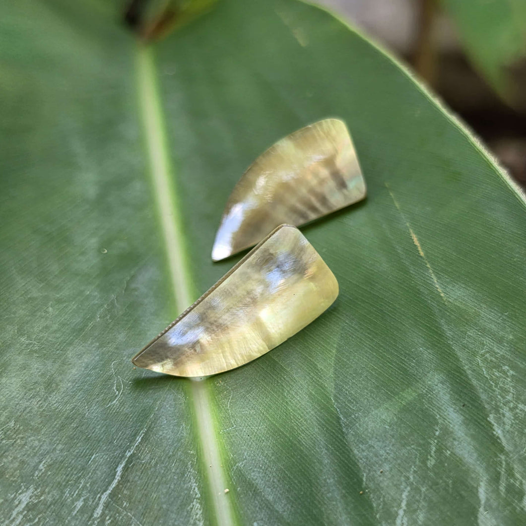 READY TO SHIP Mother of Pearl Stud Earrings - Stainless Steel FJD$
