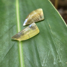 Load image into Gallery viewer, READY TO SHIP Mother of Pearl Stud Earrings - Stainless Steel FJD$
