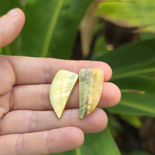 Load image into Gallery viewer, READY TO SHIP Mother of Pearl Stud Earrings - Stainless Steel FJD$
