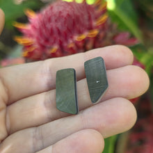 Load image into Gallery viewer, READY TO SHIP Mother of Pearl Stud Earrings - Stainless Steel FJD$
