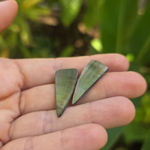 Load image into Gallery viewer, READY TO SHIP Mother of Pearl Stud Earrings - Stainless Steel FJD$
