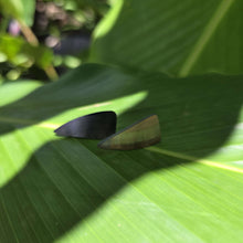 Load image into Gallery viewer, READY TO SHIP Mother of Pearl Stud Earrings - Stainless Steel FJD$
