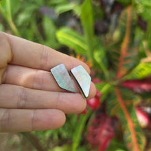 Load image into Gallery viewer, READY TO SHIP Mother of Pearl Stud Earrings - Stainless Steel FJD$
