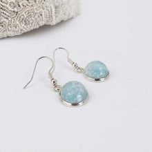 Load image into Gallery viewer, Recycled Ocean Plastic Drop Earrings - Stainless Steel FJD$
