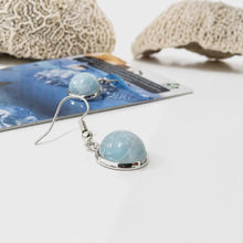Load image into Gallery viewer, Recycled Ocean Plastic Drop Earrings - Stainless Steel FJD$
