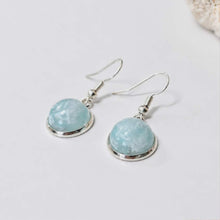 Load image into Gallery viewer, Recycled Ocean Plastic Drop Earrings - Stainless Steel FJD$
