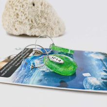 Load image into Gallery viewer, Recycled Ocean Plastic Hoop Earrings - Stainless Steel FJD$
