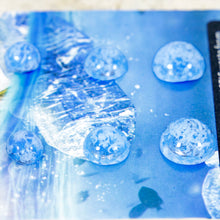 Load image into Gallery viewer, Recycled Ocean Plastic Stud Earring Set - Stainless Steel FJD$
