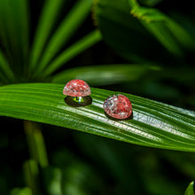 Load image into Gallery viewer, Recycled Ocean Plastic Stud Earring Set - Stainless Steel FJD$

