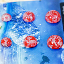 Load image into Gallery viewer, Recycled Ocean Plastic Stud Earring Set - Stainless Steel FJD$
