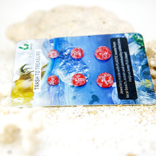 Load image into Gallery viewer, Recycled Ocean Plastic Stud Earring Set - Stainless Steel FJD$
