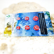Recycled Ocean Plastic Stud Earring Set - Stainless Steel FJD$