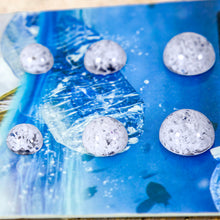 Load image into Gallery viewer, Recycled Ocean Plastic Stud Earring Set - Stainless Steel FJD$
