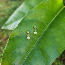 Load image into Gallery viewer, READY TO SHIP Freshwater Pearl Stud Earrings - 14k Gold Fill FJD$
