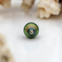 Load image into Gallery viewer, Civa Fiji Saltwater Pearl with Grade Certificate #3086 - FJD$
