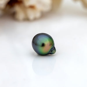Civa Fiji Saltwater Pearl with Grade Certificate #3086 - FJD$