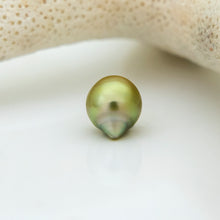 Load image into Gallery viewer, Civa Fiji Saltwater Pearl with Grade Certificate #3087 - FJD$
