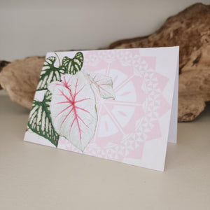 Greeting Cards by Island Inspired - FJD$