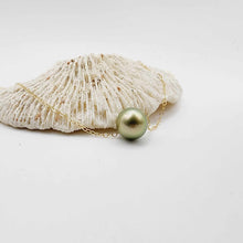 Load image into Gallery viewer, READY TO SHIP Civa Fiji Saltwater Pearl Necklace - 14k Gold Fill FJD$
