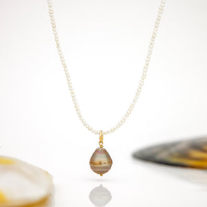 READY TO SHIP Freshwater Pearl Necklace with Civa Fiji Pearl Pendant - 14k Gold Fill FJD$