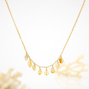 READY TO SHIP Semi-Precious Stone Necklace - 14k Gold Fill FJD$