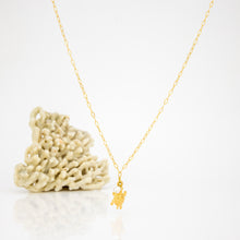 Load image into Gallery viewer, READY TO SHIP Freshwater Pearl &amp; Turtle Charm Necklace - Gold Plated FJD$
