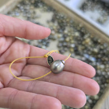 Load image into Gallery viewer, READY TO SHIP Civa Fiji Saltwater Pearl Unisex Necklace - Nylon FJD$
