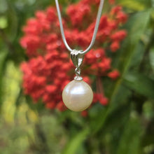 Load image into Gallery viewer, READY TO SHIP Civa Fiji Saltwater Pearl Necklace - 925 Sterling Silver FJD$
