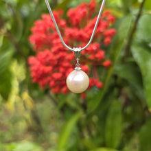 Load image into Gallery viewer, READY TO SHIP Civa Fiji Saltwater Pearl Necklace - 925 Sterling Silver FJD$
