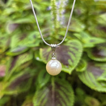 Load image into Gallery viewer, READY TO SHIP Civa Fiji Saltwater Pearl Necklace - 925 Sterling Silver FJD$
