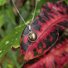Load image into Gallery viewer, READY TO SHIP Civa Fiji Bezel Set Pearl Necklace - 925 Sterling Silver FJD$
