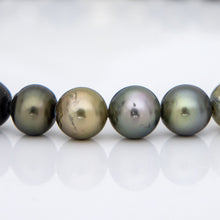 Load image into Gallery viewer, CONTACT US TO RECREATE THIS SOLD OUT STYLE Civa Fiji Pearl Necklace Strand - 925 Sterling Silver FJD$
