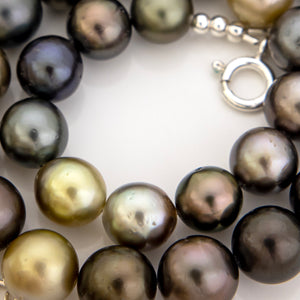 CONTACT US TO RECREATE THIS SOLD OUT STYLE Civa Fiji Pearl Necklace Strand - 925 Sterling Silver FJD$
