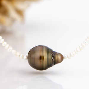 READY TO SHIP Freshwater Pearl Necklace with Civa Fiji Pearl - 925 Sterling Silver FJD$
