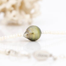 Load image into Gallery viewer, READY TO SHIP Freshwater Pearl Necklace with Civa Fiji Pearl - 925 Sterling Silver FJD$

