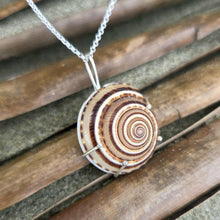 Load image into Gallery viewer, READY TO SHIP Claw Set Shell Necklace - 925 Sterling Silver FJD$
