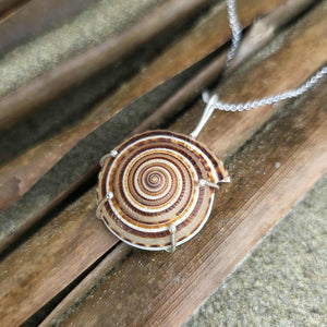READY TO SHIP Claw Set Shell Necklace - 925 Sterling Silver FJD$