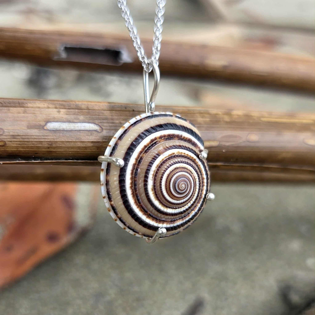READY TO SHIP Claw Set Shell Necklace - 925 Sterling Silver FJD$