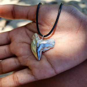 READY TO SHIP Shark Tooth Necklace - Black Cord FJD$