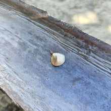 Load image into Gallery viewer, READY TO SHIP Cast Shell Pendant - 9k Solid Gold FJD$
