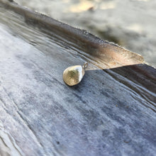 Load image into Gallery viewer, READY TO SHIP Cast Shell Pendant - 9k Solid Gold FJD$

